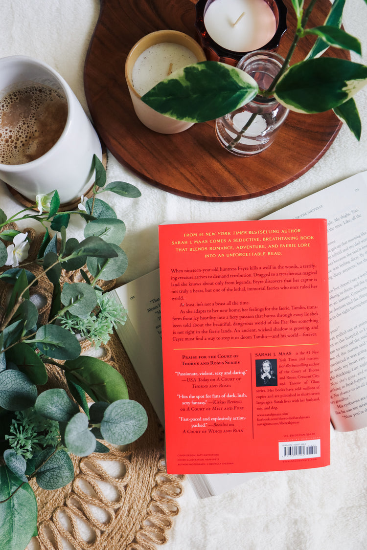 A Court of Thorns and Roses (Book One)