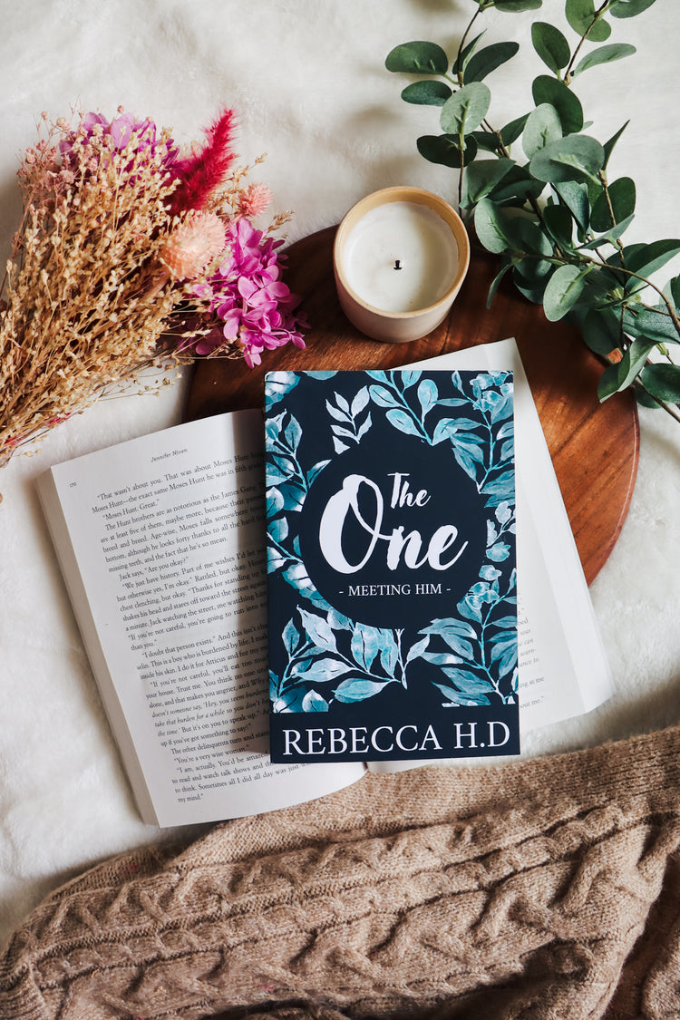 The One: Meeting Him (Book One)